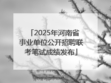 2025年河南省事业单位公开招聘联考笔试成绩发布