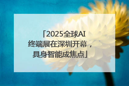 2025全球AI终端展在深圳开幕，具身智能成焦点