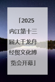 2025内江第十三届大千龙舟经贸文化博览会开幕
