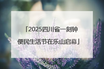 2025四川省一刻钟便民生活节在乐山启幕