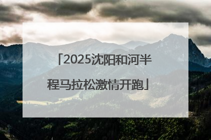 2025沈阳和河半程马拉松激情开跑