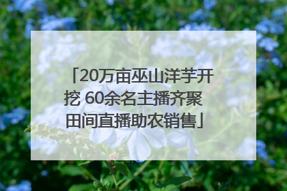20万亩巫山洋芋开挖 60余名主播齐聚田间直播助农销售
