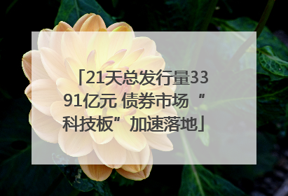 21天总发行量3391亿元 债券市场“科技板”加速落地