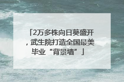 2万多株向日葵盛开，武生院打造全国最美毕业“背景墙”