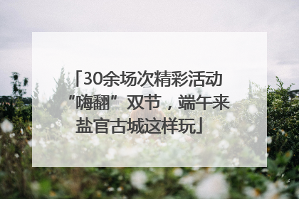 30余场次精彩活动“嗨翻”双节，端午来盐官古城这样玩