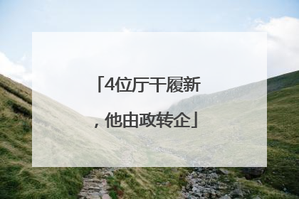 4位厅干履新，他由政转企