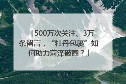500万次关注、3万条留言，“牡丹包裹”如何助力菏泽破圈？