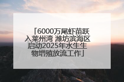 6000万尾虾苗跃入莱州湾 潍坊滨海区启动2025年水生生物增殖放流工作