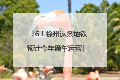 6！徐州这条地铁预计今年通车运营