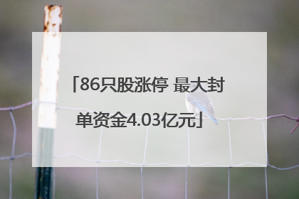 86只股涨停 最大封单资金4.03亿元