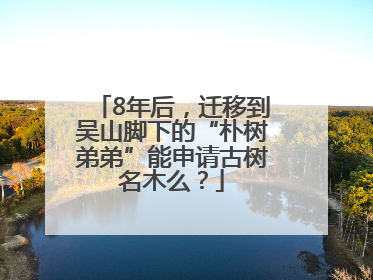 8年后，迁移到吴山脚下的“朴树弟弟”能申请古树名木么？